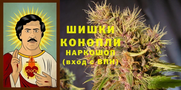 прущий лед Пересвет