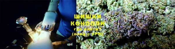 прущий лед Пересвет