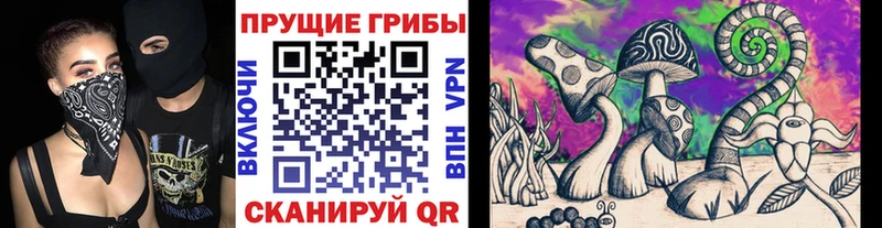 Псилоцибиновые грибы MAGIC MUSHROOMS купить Сальск