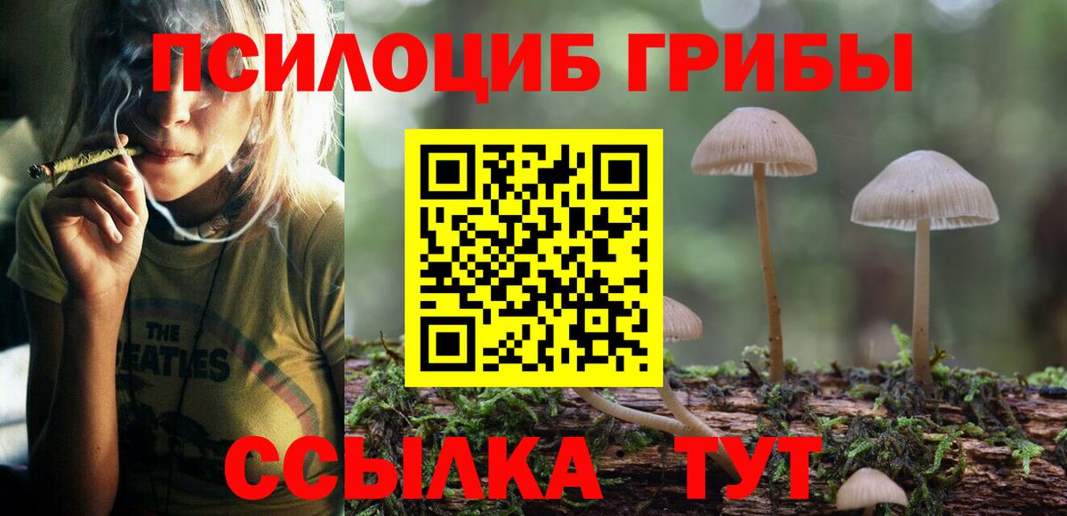 Галлюциногенные грибы мицелий Сальск