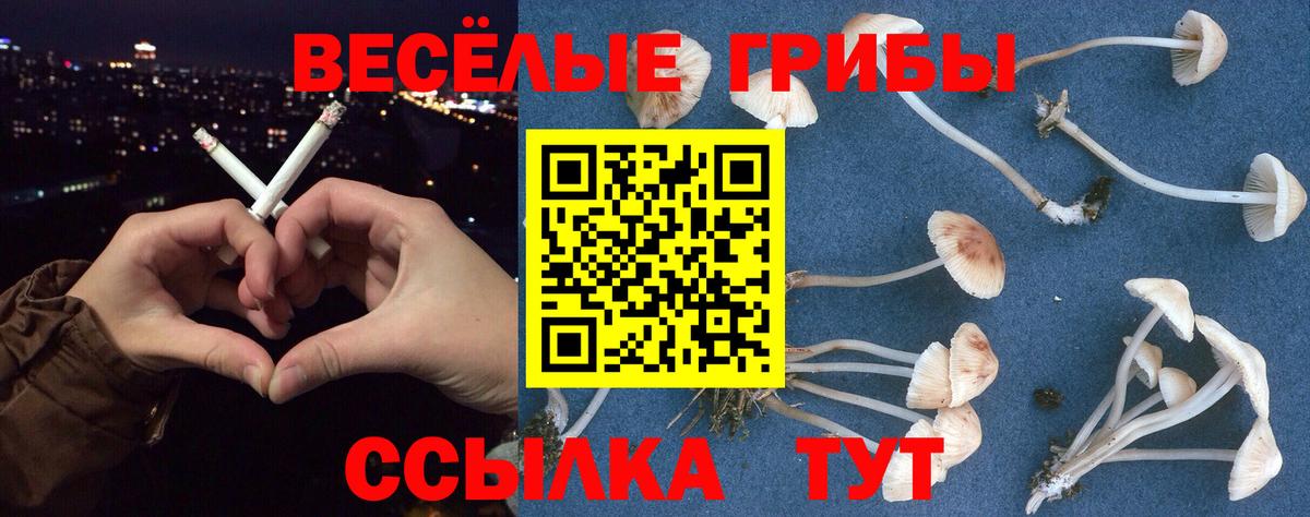 Сальск  Галлюциногенные грибы Psilocybe  дарнет шоп  Вход с VPN  Галлюциногенные грибы MAGIC MUSHROOMS 