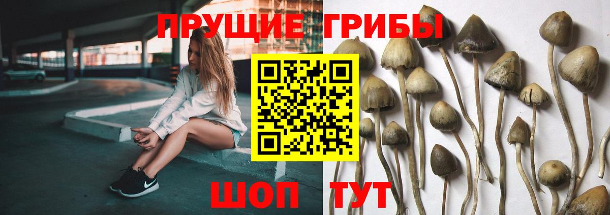 Псилоцибиновые грибы мухоморы Сальск
